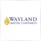 Wayland Baptist University - Foreign Language School Ranking